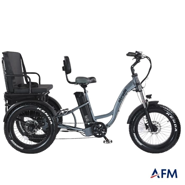 STRADA E-TRIO GRİ 48V 17.4Ah ÜÇ TEKERLEKLİ ELEKTRİKLİ BİSİKLET