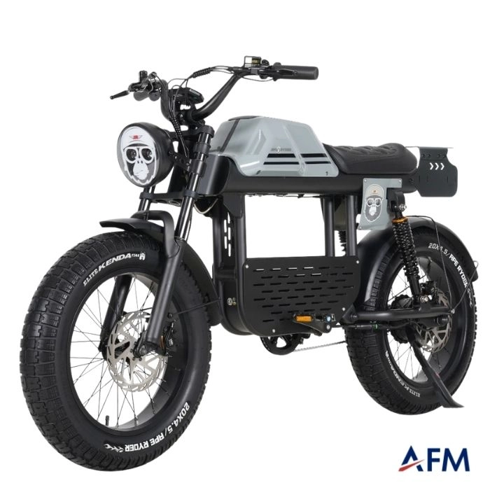 APE RYDER GİBBON ULTRA SPORT GRİ 48V 20Ah ELEKTRİKLİ BİSİKLET