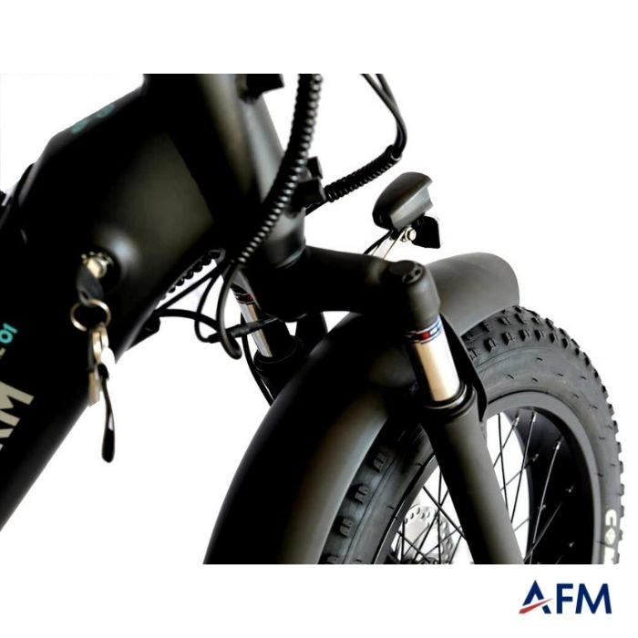 ROXFORM URAL SİYAH 36V ELEKTRİKLİ BİSİKLET