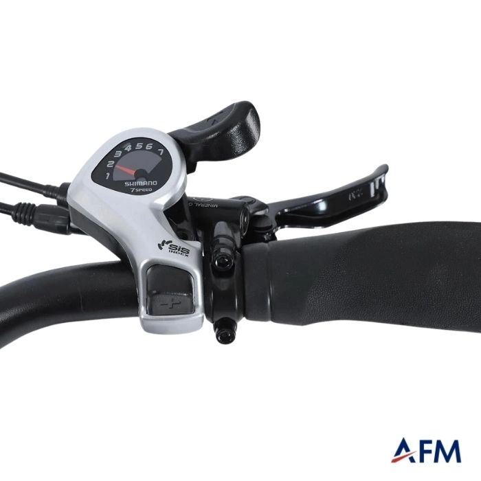 STRADA E-RAPIDO GRİ 36V 10.4Ah ELEKTRİKLİ BİSİKLET