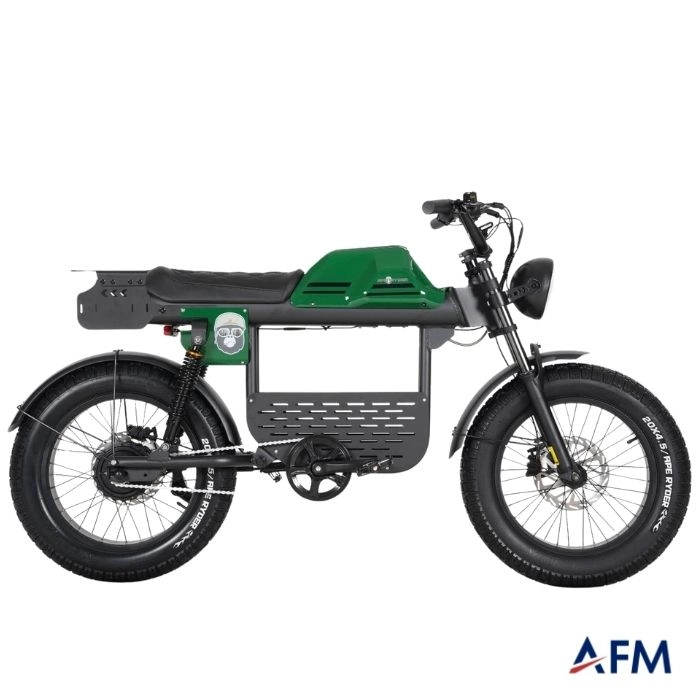 APE RYDER GİBBON ULTRA SPORT YEŞİL 48V 20Ah ELEKTRİKLİ BİSİKLET
