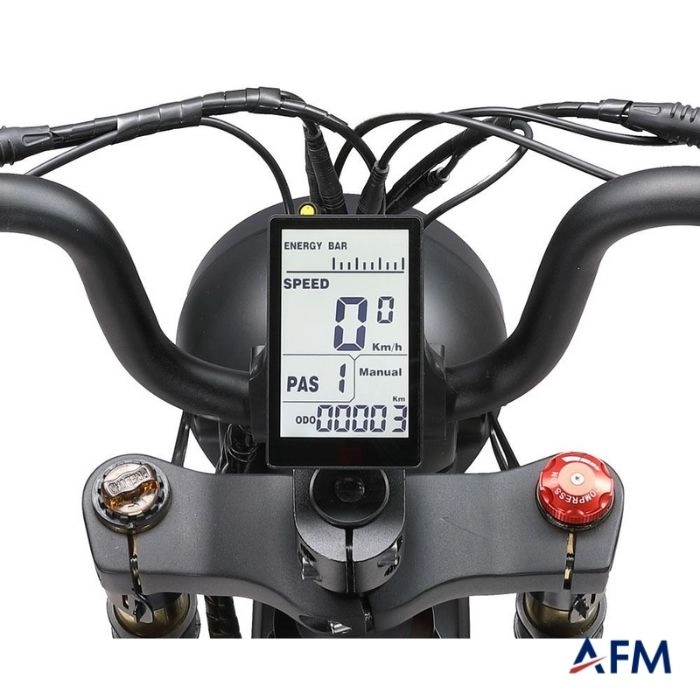 APE RYDER MD10 SİYAH 48V ELEKTRİKLİ BİSİKLET
