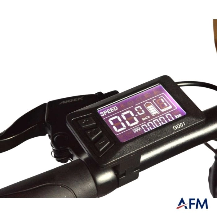 ROXFORM URAL GRİ 36V ELEKTRİKLİ BİSİKLET