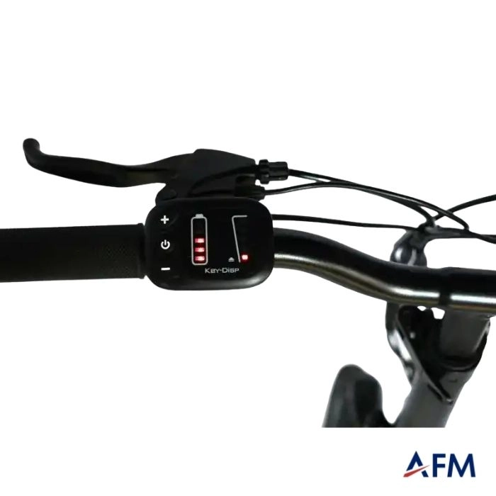 ROXFORM VENÜS MAVİ 36V ELEKTRİKLİ BİSİKLET