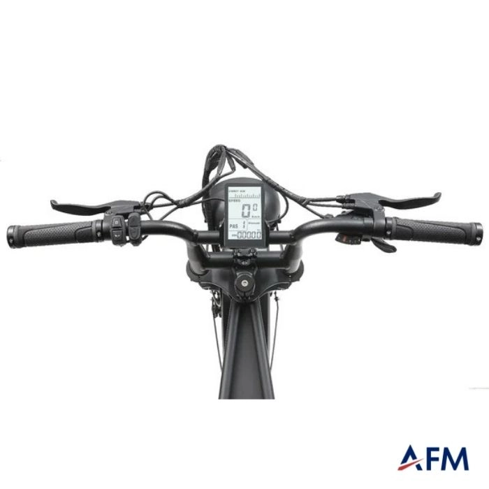 APE RYDER A10 GRİ 36V 250 WATT ELEKTRİKLİ BİSİKLET