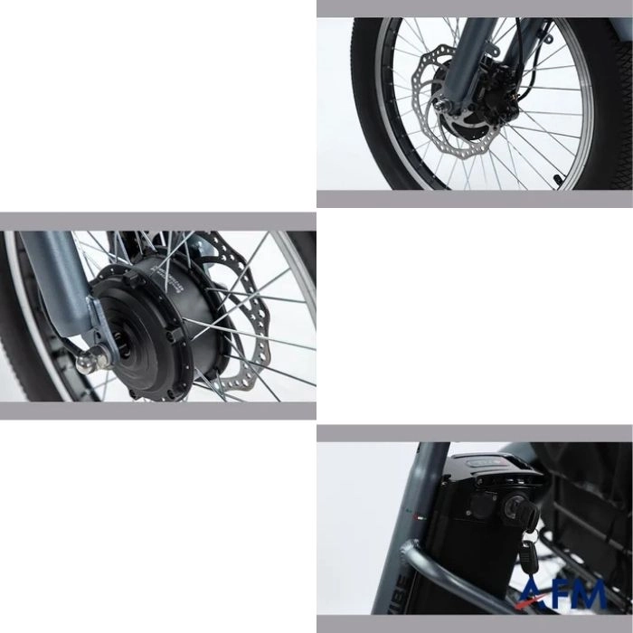 STRADA E-VİBE KREM 48V 13.6Ah ÜÇ TEKERLEKLİ ELEKTRİKLİ BİSİKLET