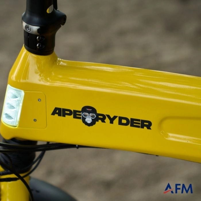 APE RYDER LORİS ULTRA MAVİ 48V KURYELİĞE UYGUN ELEKTRİKLİ BİSİKLET