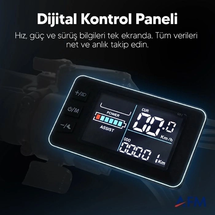 STRADA E-TRIO GRİ 48V 17.4Ah ÜÇ TEKERLEKLİ ELEKTRİKLİ BİSİKLET