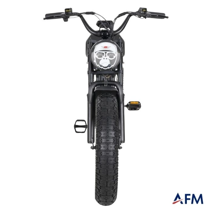APE RYDER GİBBON ULTRA SPORT SİYAH 48V 20Ah ELEKTRİKLİ BİSİKLET