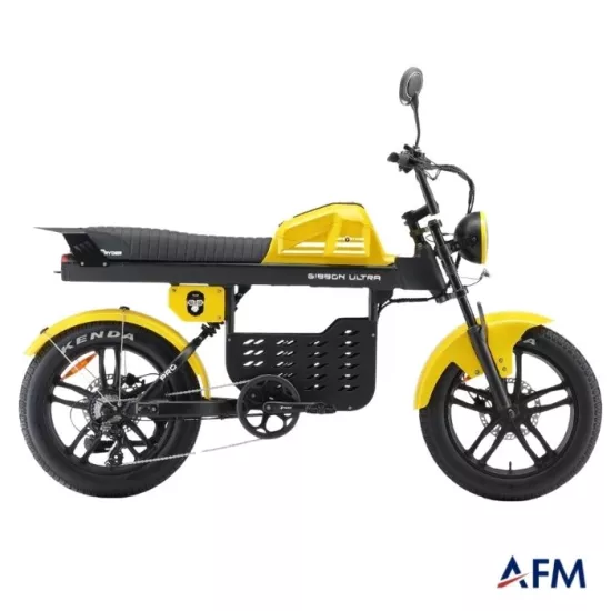 APE RYDER GİBBON ULTRA PRO 48V 1000 WATT ELEKTRİKLİ BİSİKLET