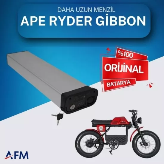 APE RYDER GiBBON 48 Volt Batarya Orijinal Yedek Akü - Elektrikli Bisiklet Pili
