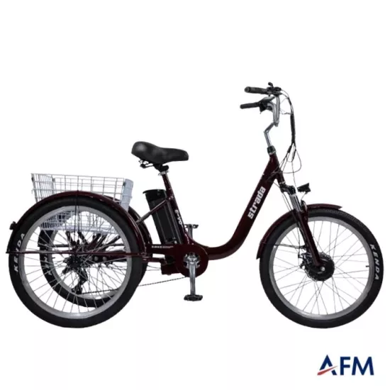 STRADA E-VO 36V 250 WATT ÜÇ TEKERLEKLİ ELEKTRİKLİ BİSİKLET