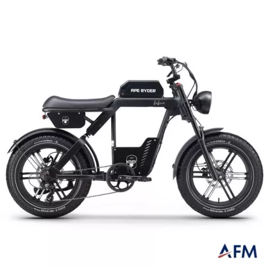 APE RYDER BABOON 48V 250 WATT ELEKTRİKLİ BİSİKLET