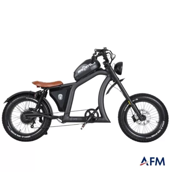 APE RYDER ROLOWAY 48V 250 WATT ELEKTRİKLİ BİSİKLET