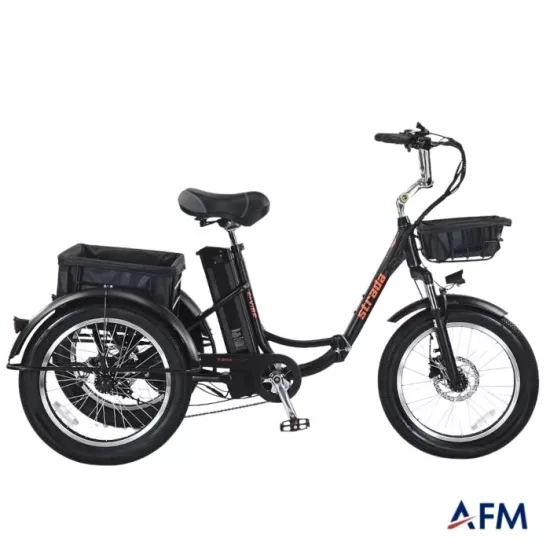 STRADA E-VİBE 48V 250 WATT ÜÇ TEKERLEKLİ ELEKTRİKLİ BİSİKLET