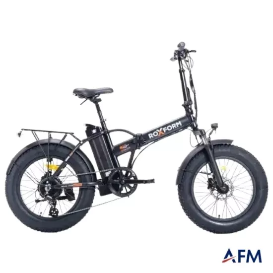 ROXFORM EGE 36V 250 WATT ELEKTRİKLİ BİSİKLET
