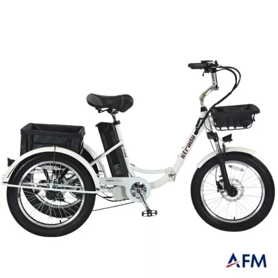 STRADA E-VİBE 48V 250 WATT ÜÇ TEKERLEKLİ ELEKTRİKLİ BİSİKLET
