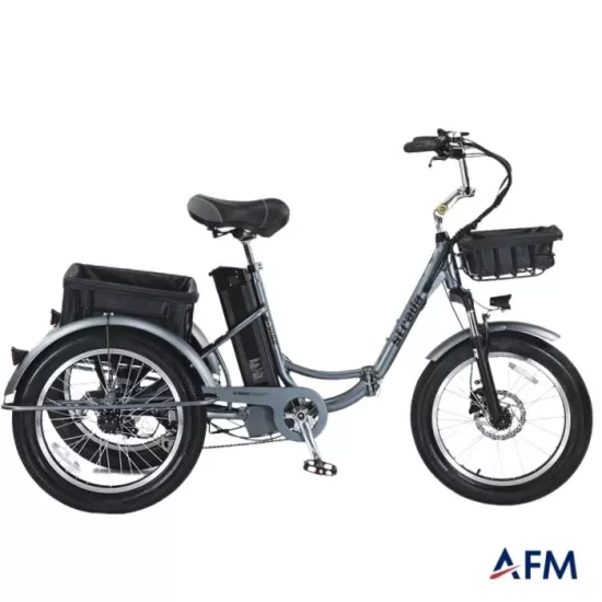 STRADA E-VİBE 48V 250 WATT ÜÇ TEKERLEKLİ ELEKTRİKLİ BİSİKLET