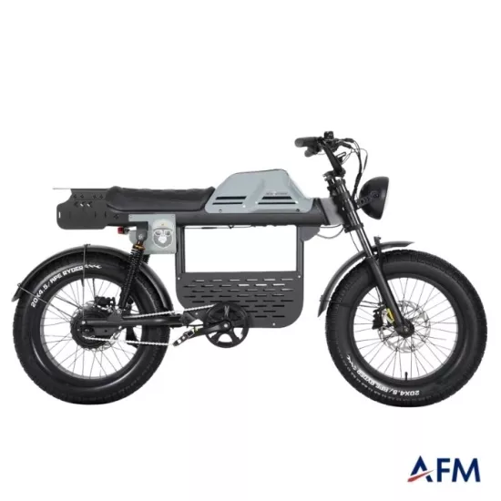 APE RYDER GİBBON ULTRA SPORT 48V 250 WATT ELEKTRİKLİ BİSİKLET