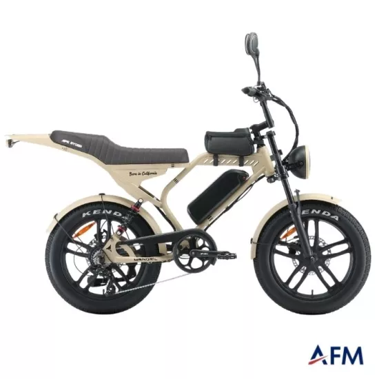 APE RYDER MANDRILL 48V 250 WATT ELEKTRİKLİ BİSİKLET  
