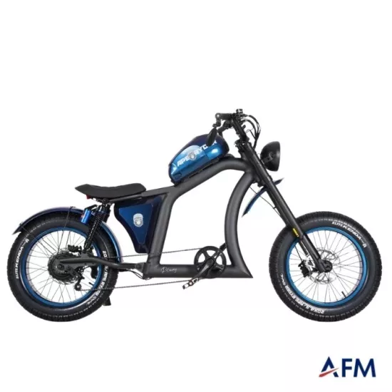 APE RYDER ROLOWAY 48V 250 WATT ELEKTRİKLİ BİSİKLET