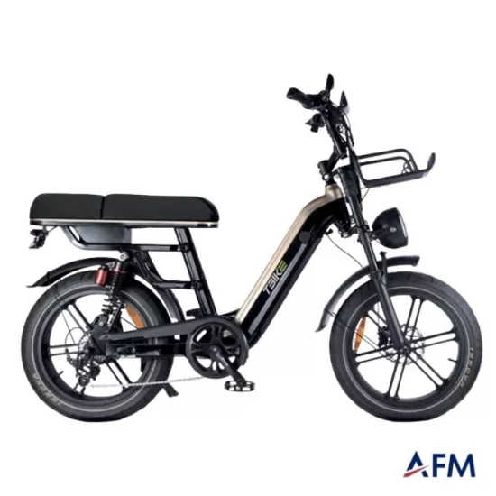 T-BİKE Q9 48V 250 WATT ELEKTRİKLİ BİSİKLET - E-BİKE
